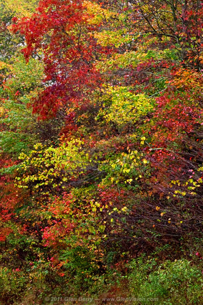 Autumn 05