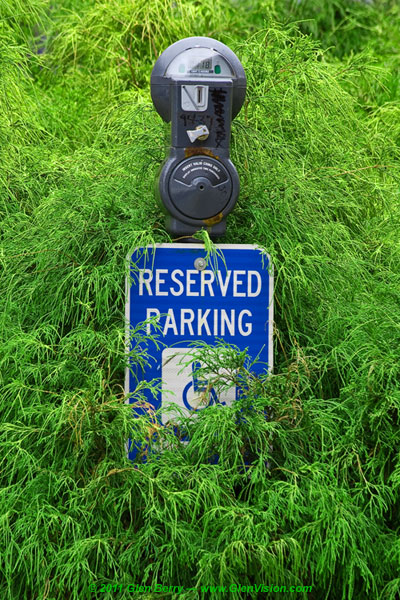 Reservation