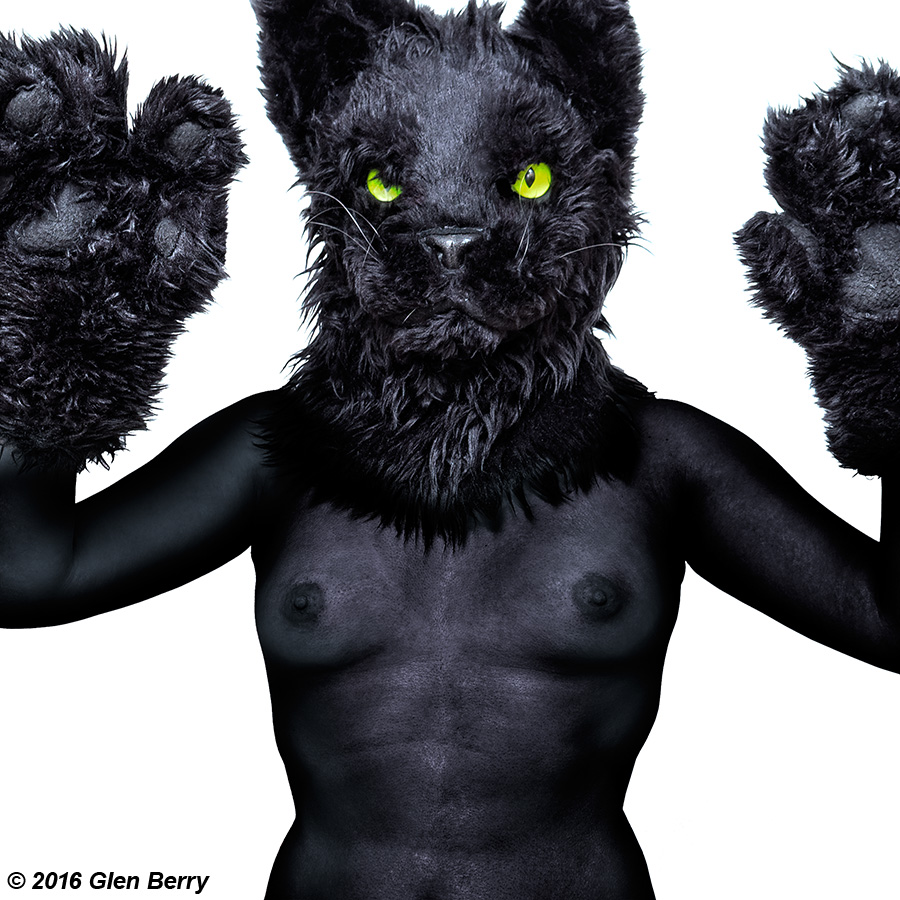 Swiftpanther